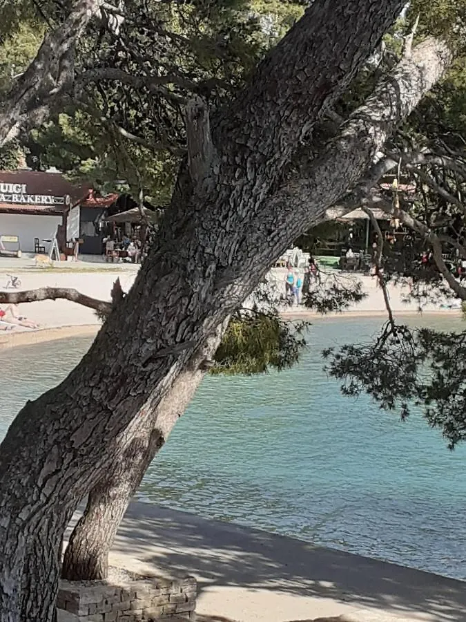 Carpe Diem Biograd Na Moru Croatia