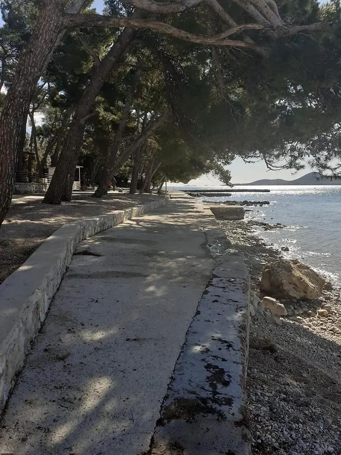 Carpe Diem Biograd Na Moru 0*,  Croatia