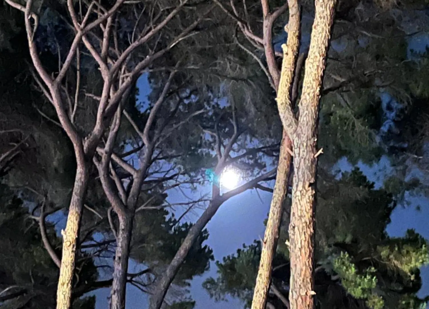 Carpe Diem Biograd Na Moru