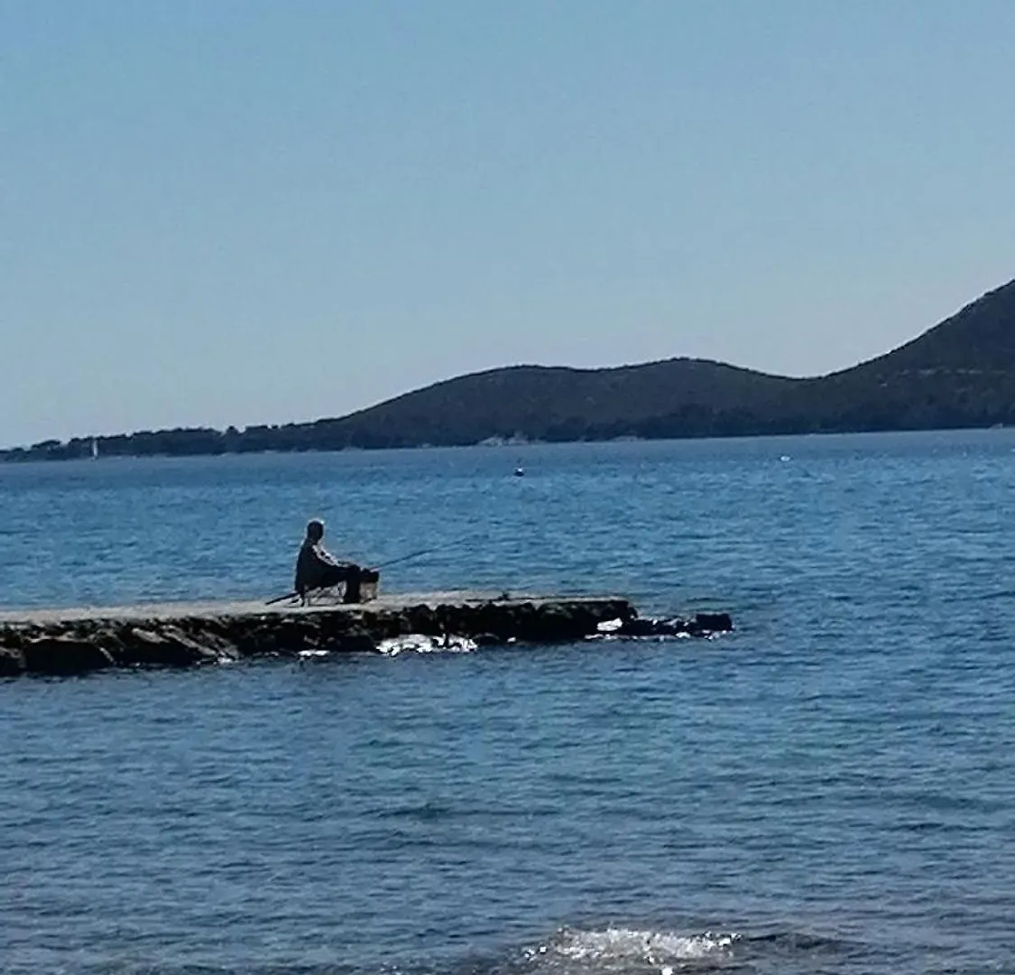 Carpe Diem Biograd Na Moru